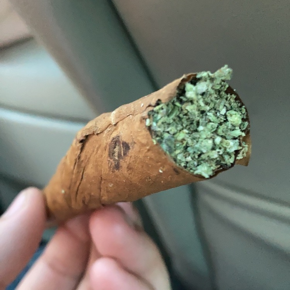 Meet your Posher, Jay